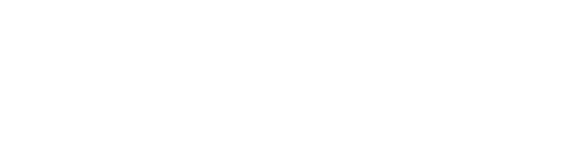 Rectiperf V2